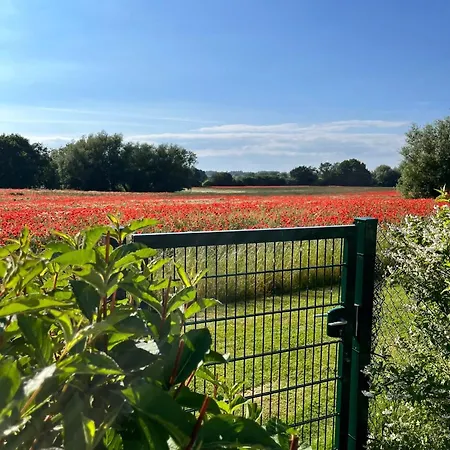 Landidyll Elmenhorst 03 Kalkhorst