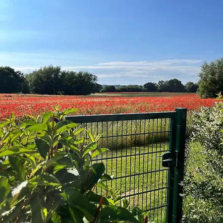 Landidyll Elmenhorst 03 *