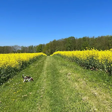 شقة Landidyll Elmenhorst 03