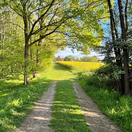 Landidyll Elmenhorst 03 شقة *