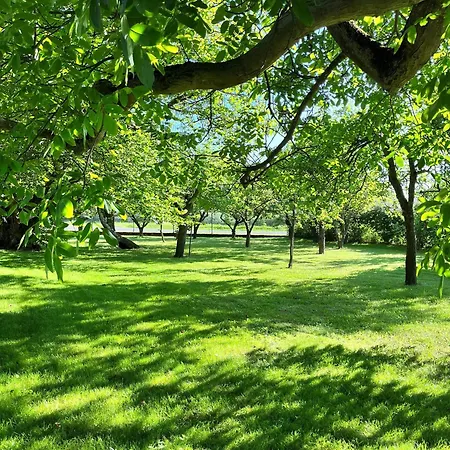 Landidyll Elmenhorst 03 Kalkhorst